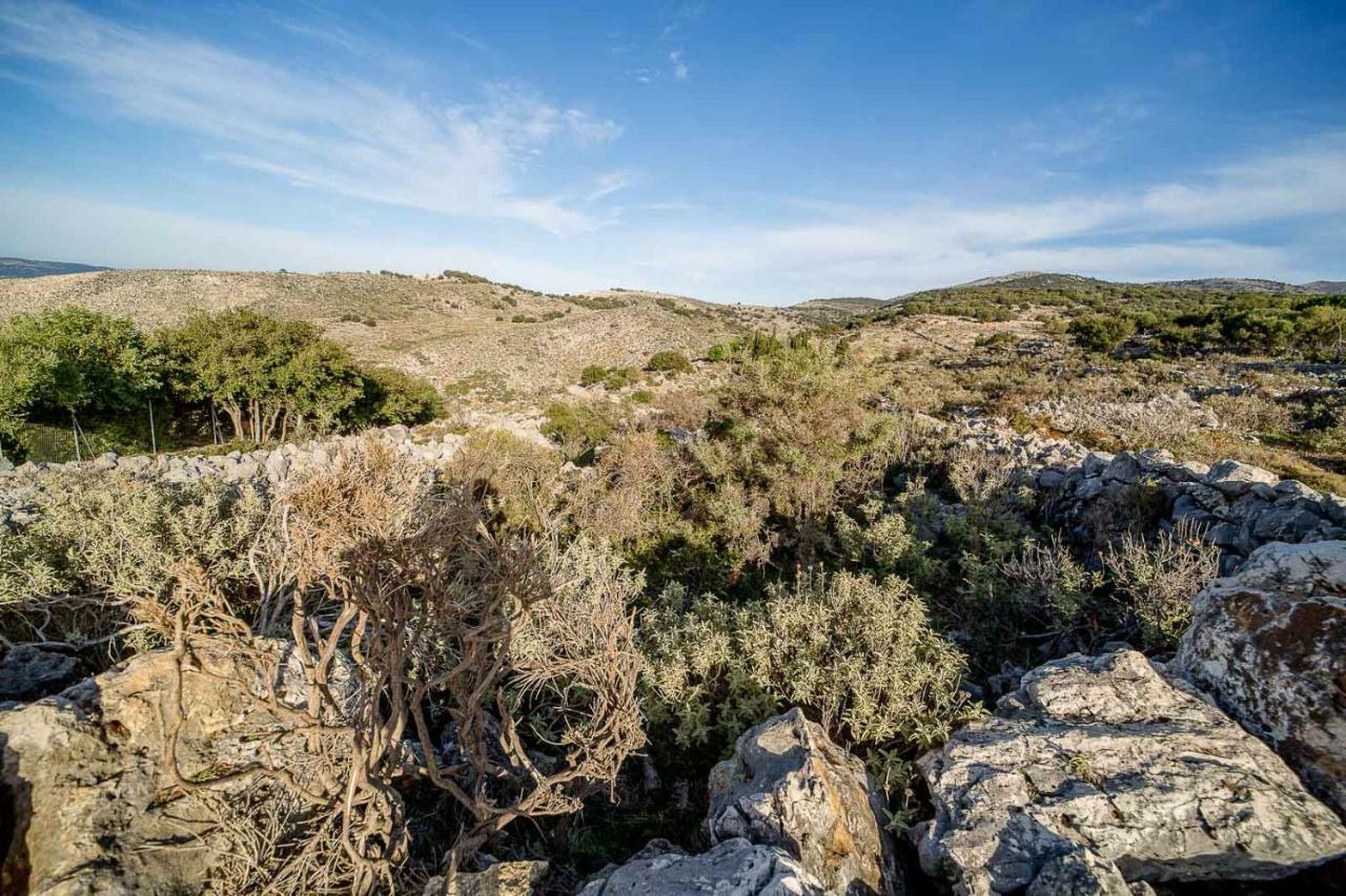 Art Studio Kefalonia Dhavgáta 外观 照片